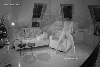 Oscar Pearl Betta Party - Fun in LR 1 2026-02-04 cam 2