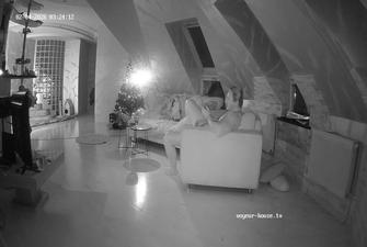 Oscar Pearl Betta Party - Fun in LR 1 2026-02-04 cam 3